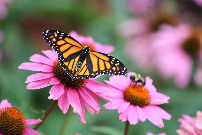 994417a3-fe6a-429f-a1a4-6d29e51f7e8c