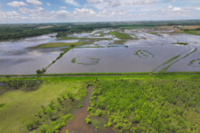 article preview image