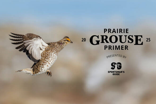 9b35e84e-ce97-46c8-a583-eb18b65ca779