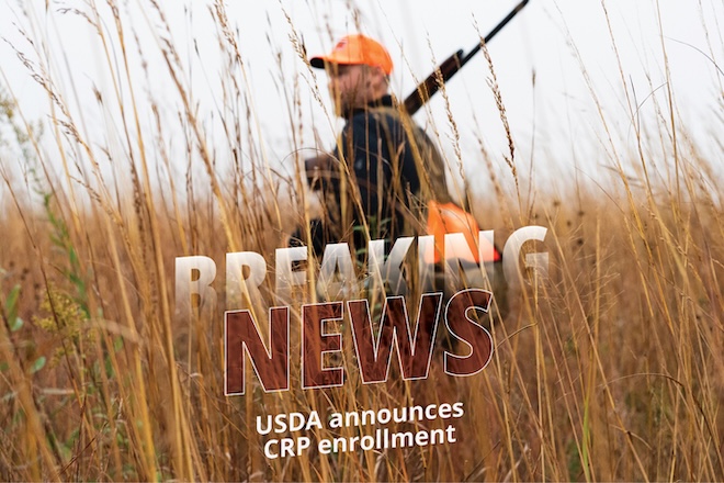 9bad7514-0a51-4f68-bfba-0657feba88af