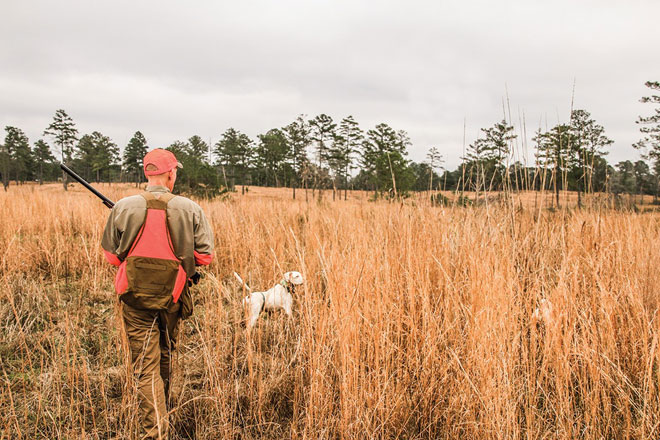 How to Select the Right Boots for Quail Hunting