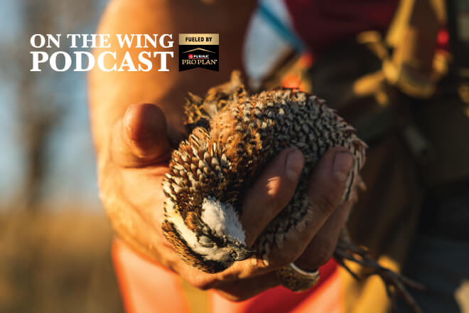 a0d351cd-d155-4046-8f16-7fad9ae98b13