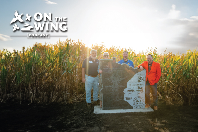 a4f926f5-12a9-4f63-9028-d453cbd154b5