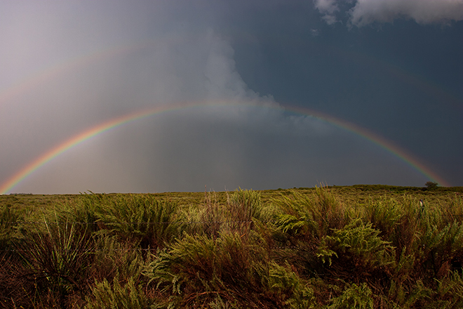 rainbowresize-(1).jpg
