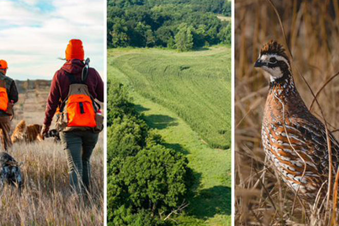 a6baed77-dea4-4670-9fce-ff29660f4e3e