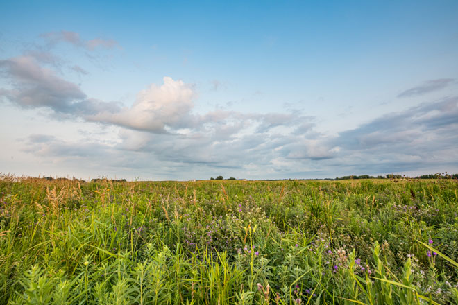 a926c7d4-1c31-4fcf-b623-1767907ad7f1