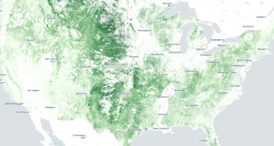 article preview image