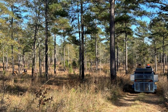 b1d14926-c440-4ee0-a215-b5de11e36235