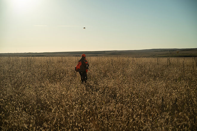 b1f19e69-010e-40ee-96c4-c0ad9f7f369a