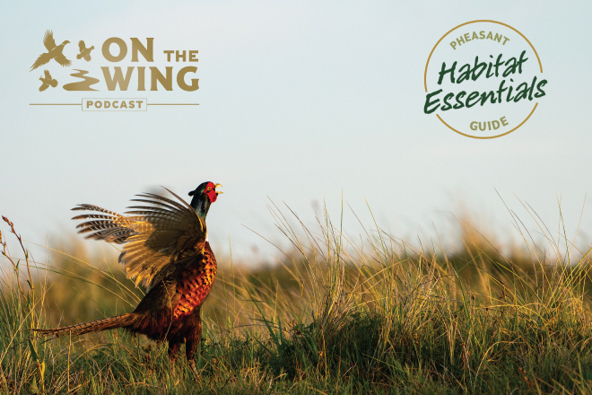 b31835c7-ac9c-4590-9594-12c72cab8891