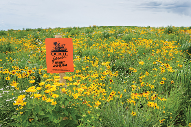 b3744a66-c554-4e07-8bfa-a3a4e52f8f12