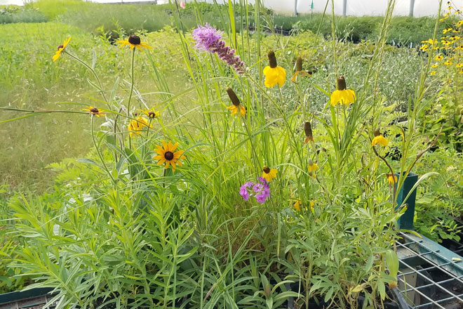 b8d598ec-b896-454b-9319-3f9cebe9a169