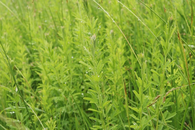 bf5a6440-a8f7-4dea-95e6-255c1bb2e67f