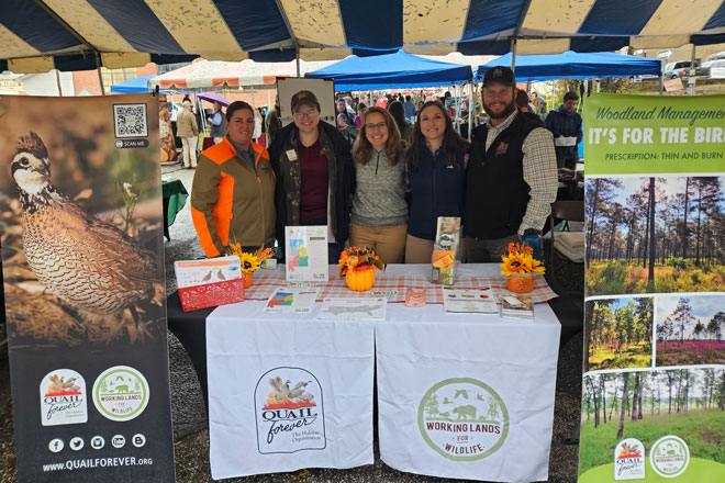 bf60aa03-c76c-4268-8ecc-b82f30445cd9