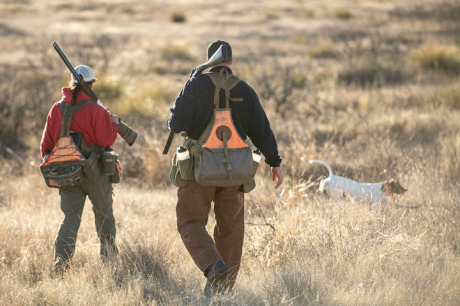 c23b5573-284a-4b43-9753-ea3944d71dec