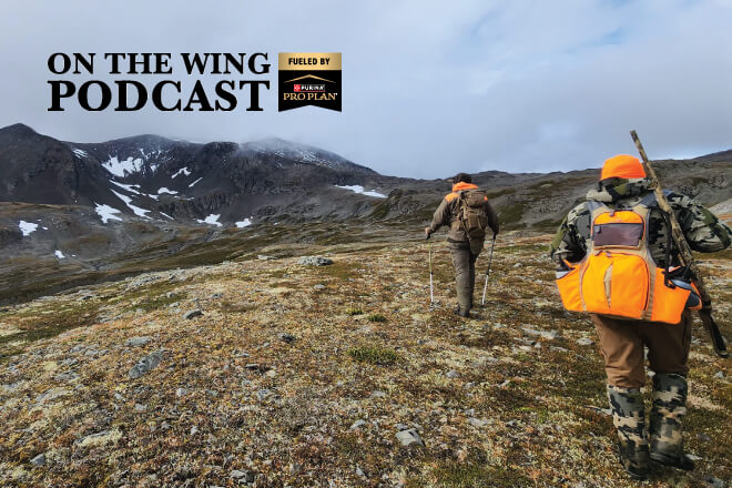 c4dbaceb-76b7-4750-bc5e-54cc8917db1a