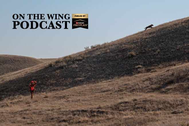 c4e16c5d-32aa-4134-8496-3154ea71907b