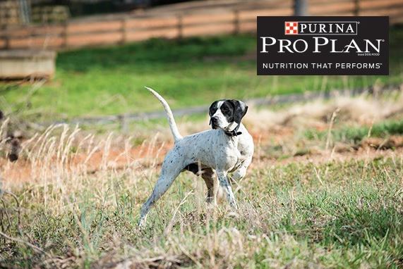 c6ae7914-798d-48e3-8978-9eaa70818335