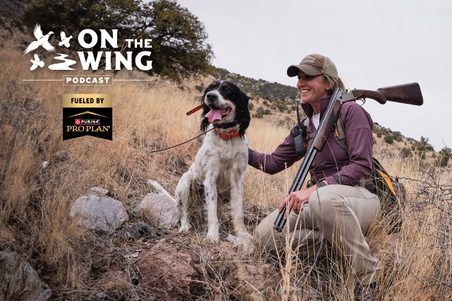 cc6acd35-f330-4549-b205-a296701e73c4