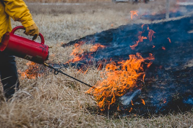 d14b01db-4a33-4452-b8f7-9d9d717fc403