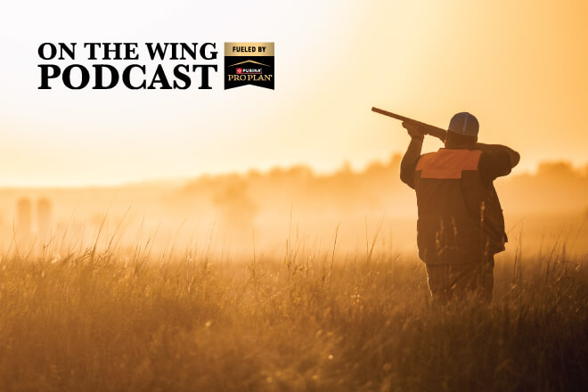 d3fe2419-0ec9-4878-b62a-52172815624f