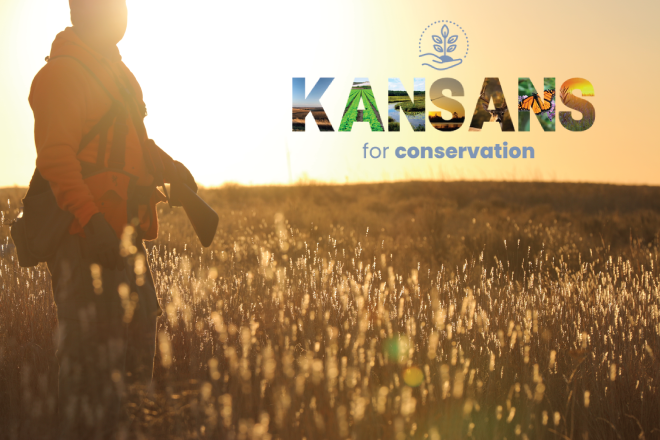 d44054e1-37e3-4b31-9f7a-f9bb77ded5bc