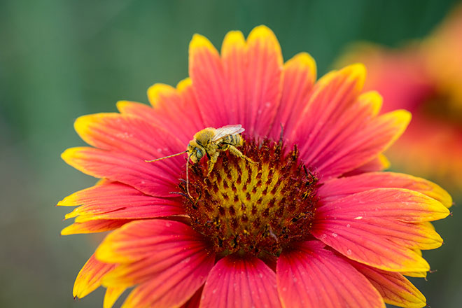 d79018ba-8589-4696-9382-dd87ef2f8591