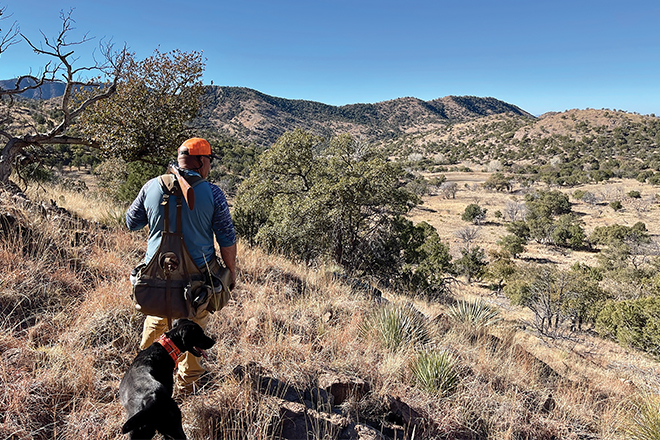 d7e805af-cfc2-4d06-aa13-bc09897930bd