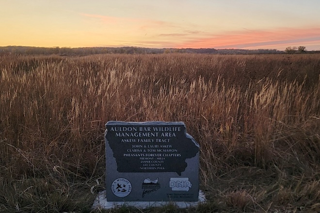 Header Secondary Navigation