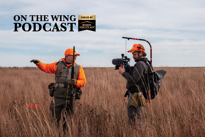 d988f91f-1540-4bc5-ba5c-36d580b562f0