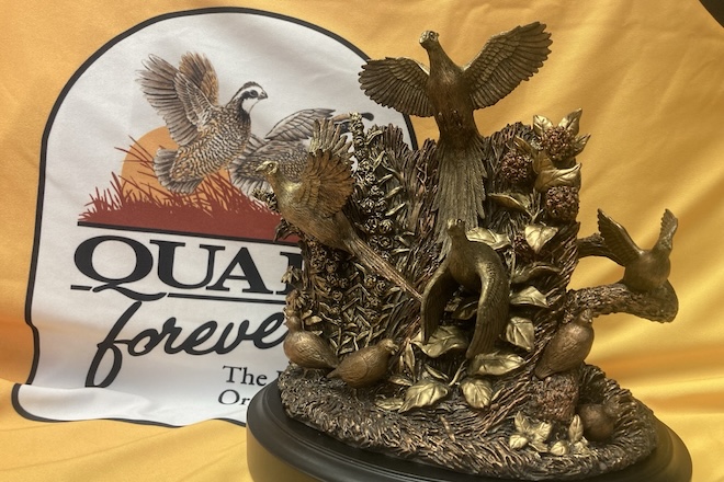 d9fe043b-8b9b-4c6f-8305-f99e3fa07cd4