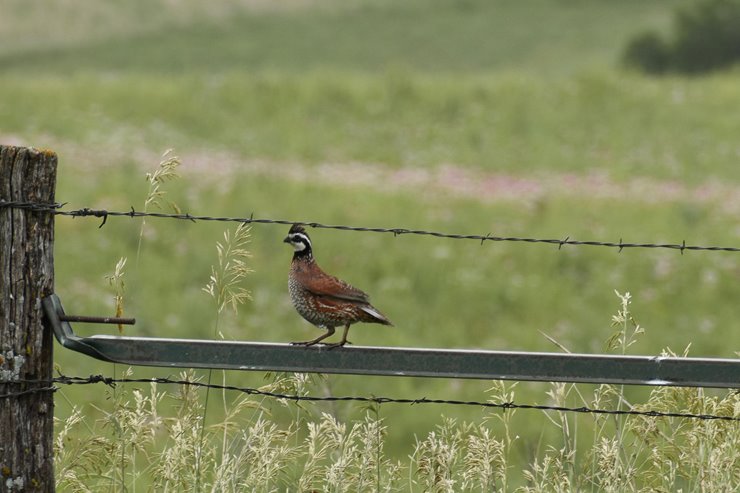 e12cf475-7938-4d39-a0fb-45f3a6dedbc2