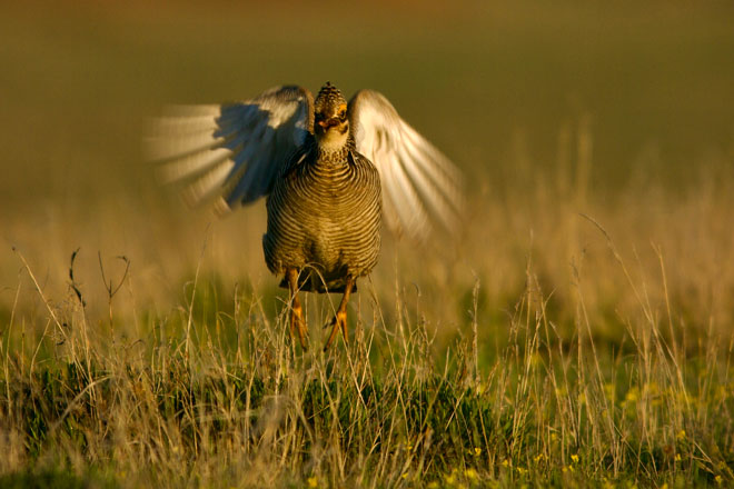 e520b04f-b57c-4e1f-8682-1dd930ac7fe8