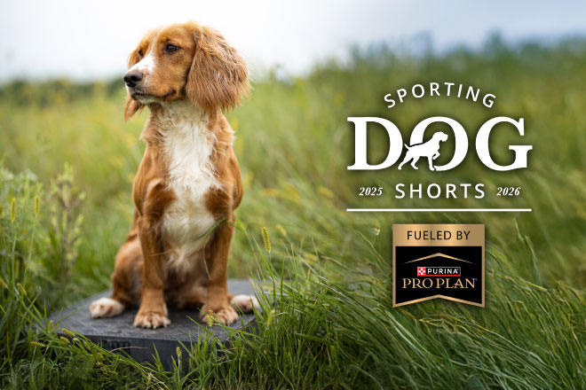 e740bc12-9071-4ff6-87ff-acd20282405a