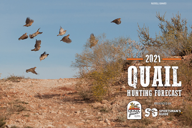 What hunters should know about the 2022 pheasant and quail hunts