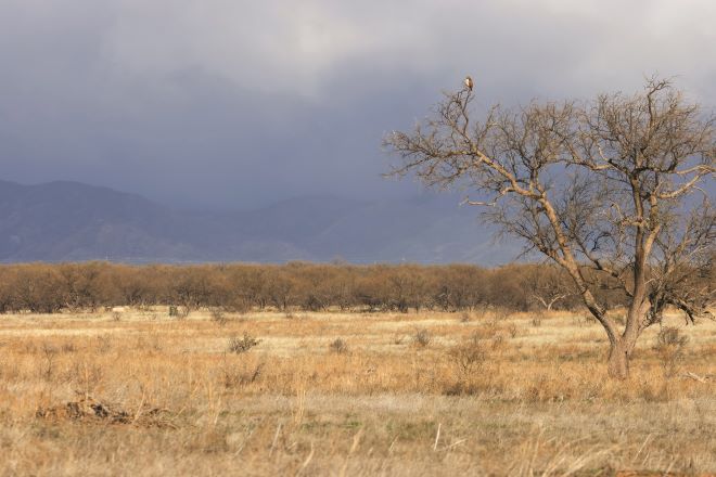 eece1aef-4f5a-4dbe-bc83-d220e0680101