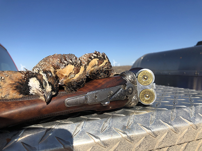 The Perfect Quail Gun