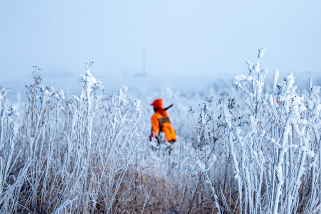 f13bccd2-33d5-413c-9716-858340cfc816