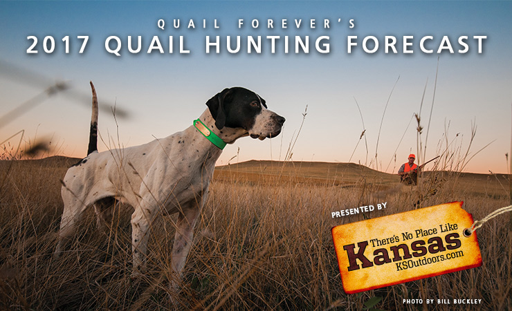 f22b75ca-db3c-47ba-80ca-fbd4ba3e0a3f