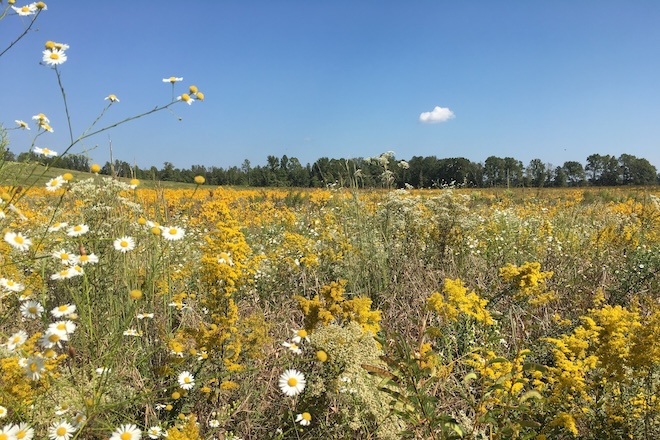 f3ab4620-ef82-42ec-8704-a408597c841f