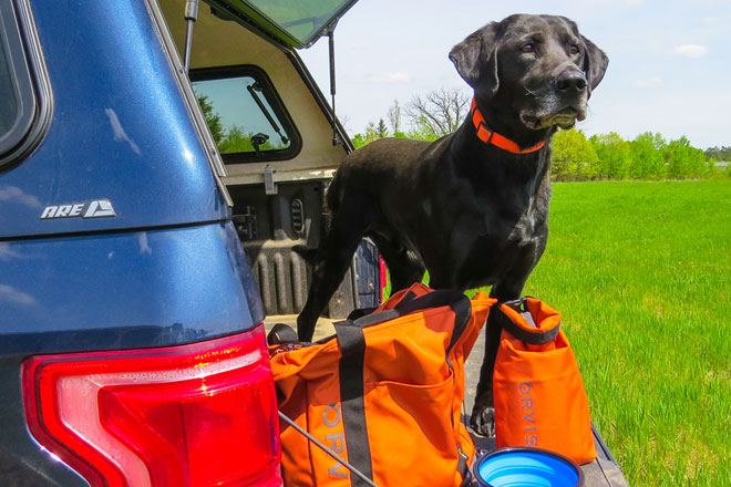 Orvis dog outlet carrier