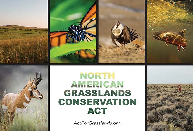 North American Grasslands Conservatio Act - ActForGrasslands.org