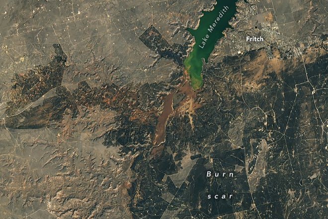 ducks flying in wetlands