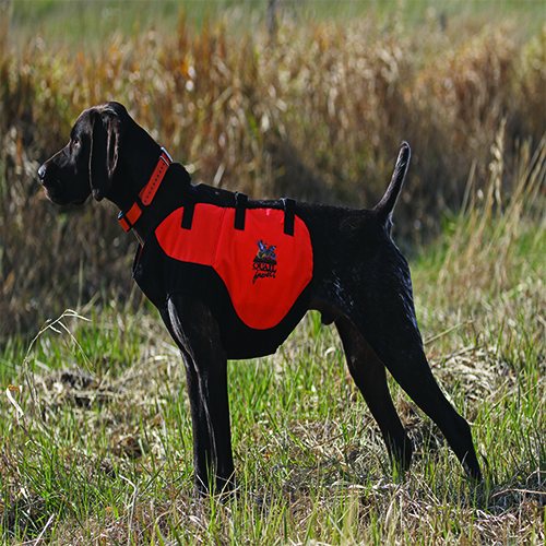 QF Sylmar Dog Body Guard Vest