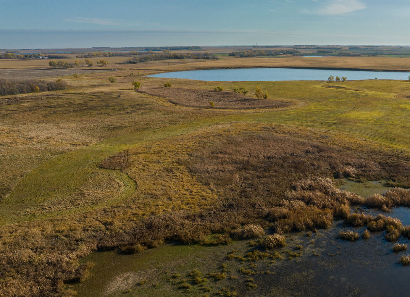 Grass covered land and fields with swamp and pond