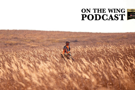 podcast-387