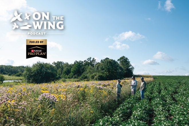 PODCAST EP. 316: 1.8 Million Acres of CRP Opportunity and a Farm Bill Update