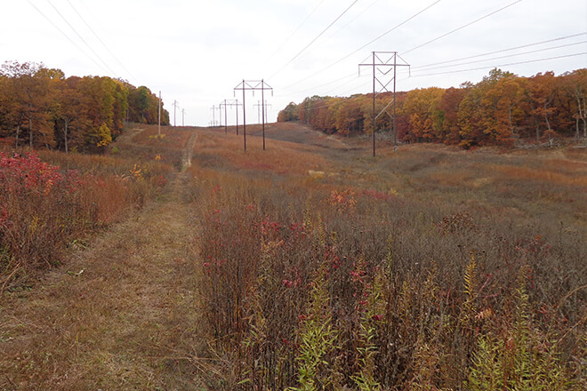 PODCAST EP. 128: Creating Habitat in the Margins