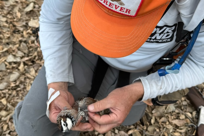First Birds and Walk in Access in the Sunflower State