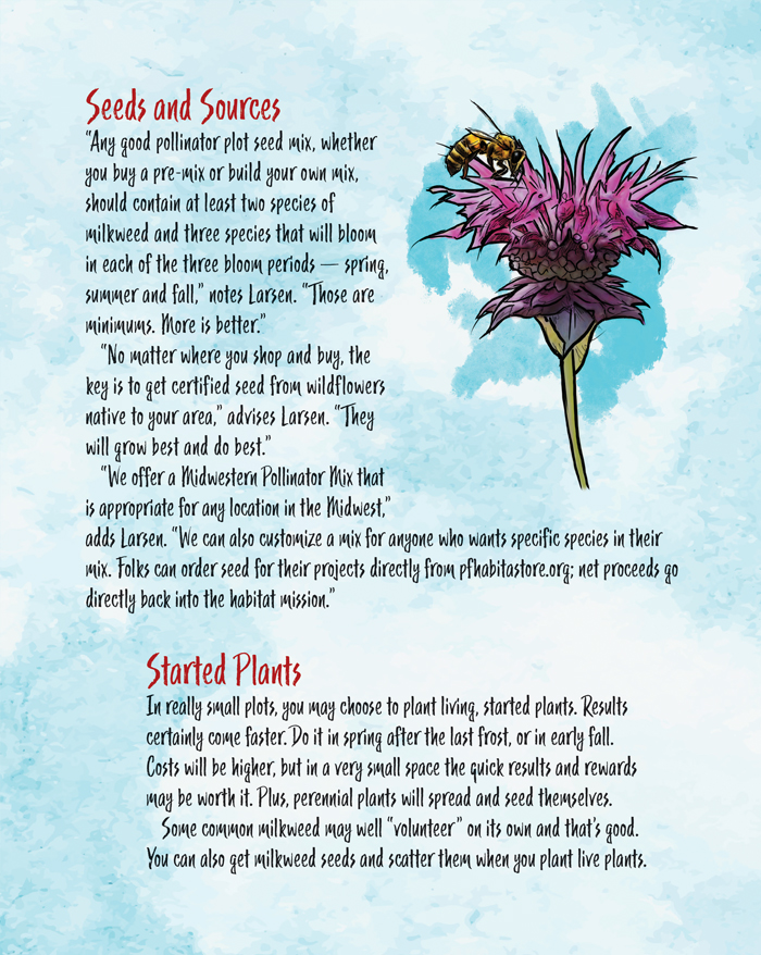 pint-sized-pollinator-plot-5.jpg